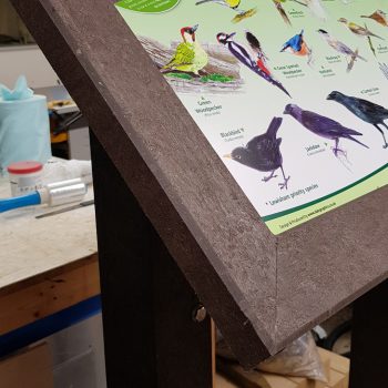 Common Birds