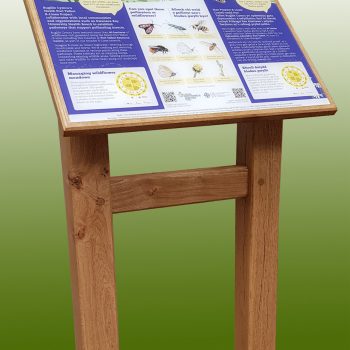 A2 Oak Frameless Lectern with trimmed edge