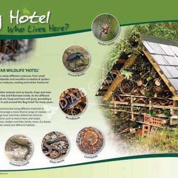 Bug Hotel