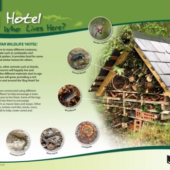 Bug Hotel