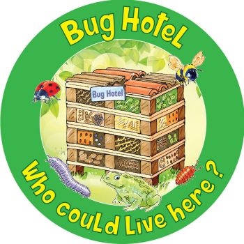 Bug Hotel