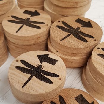 Laser etched waymaker discs oak