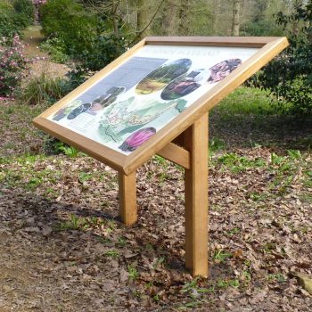 Oak Lectern A0 Belvoir Castle Gardens