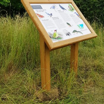 Oak Lectern A1 Cambridge Science Park