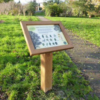 Oak Pedestal A2 Enfield