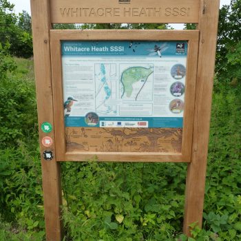 Oak Vertical sign with laser and router detail