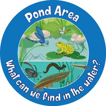 Pond Area