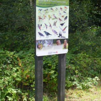 Recycled Plastic Trail Board