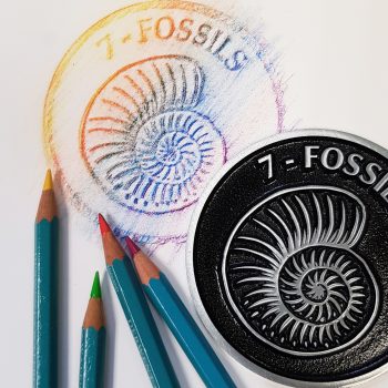 Rubbing discs with coloured crayons