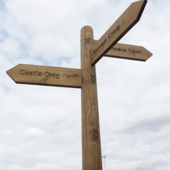 Softwood Fingerpost pole