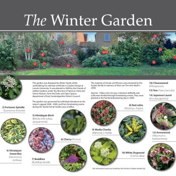 The Winter Garden