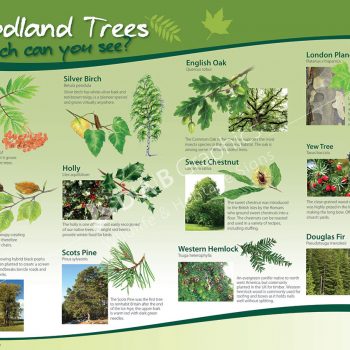 Tree board