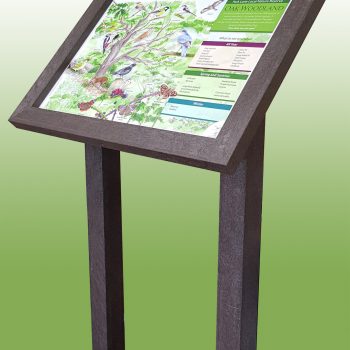The Ultra recycled plastic lectern available in dark brown or black