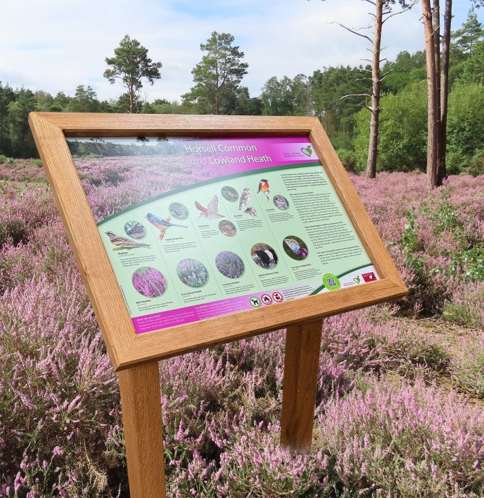 A1 Oak lectern Horsell Common